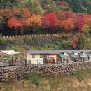 단풍펜션 이미지