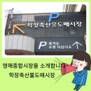 영해종합시장 이미지