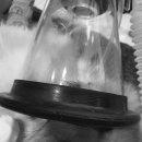 마야동물병원 이미지