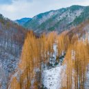 자연휴양림입구 공중화장실 이미지