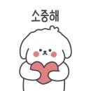 안동전골칼국수 진위점 이미지
