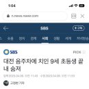 대전 음주차에 치인 9세 초등생 끝내 숨져 이미지