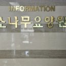 소나무 | [인천 요양원/추천/후기/가격] 소나무요양원 전문 프로그램과 편안한 환경 제공