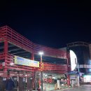 무안세발낙지 | 무안 낙지 맛집 '무안참뻘낙지' 후기