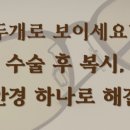 신월동167 이미지