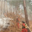 내금마을회관 이미지