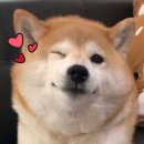 세븐일레븐 부산문현대도점 | w. 문현 더 에스 웨딩 컨벤션홀 하객을 가장한 웨딩홀 암행 투어 | 문현 이마트 주차 셔틀 (feat. 차를...