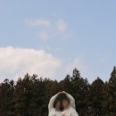 무장해제 | "우리 남편 맞나요?" 무뚝뚝한 아빠도 무장해제시킨 비밀의 숲 30분 스냅 후기