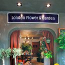 Flower Garden 이미지