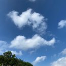 수성타이거즈 태권도장 이미지