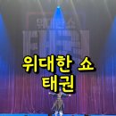 지곡 태권스토리 태권도장 | 전국투어 대전 공연후기 위대한 쇼 태권💕