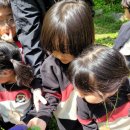 자람어린이집 이미지