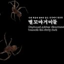 「곤충ノ파충」 🔍서재 책상 밑 좁은 공간에서 발견한 별꼬마거미들 이미지