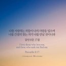 샬롬사