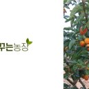 환영2농장 이미지