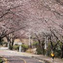 큰골약수터 이미지