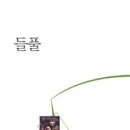 이영춘「들풀」 이미지