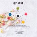젠느헤어