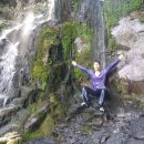 화순초 이서분교 이미지