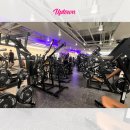 DM휘트니스 | 신설동 PT 추천, 업타운 휘트니스 신설점 남성 PT 후기 “몸은 타고나는 게 아니라, 순서대로 만들어...