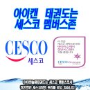 늘품태권도전문도장 이미지