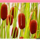 열번째 견우직녀 축제가 열린 대전 엑스포 시민광장의 밤풍경 이미지