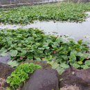 오조리마을회관 이미지