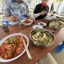망향공원 | 연천 강아지 동반 맛집 망향비빔국수 본점 후기 (가격·주차·야외석 총정리)