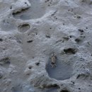 홍조바다 이미지