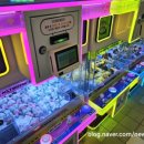 캑티가챠샵(CACTI GACHA SHOP) 이미지