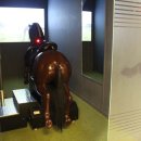 봉곡스크린골프 이미지