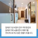 다솜이비인후과의원 네이버블로그