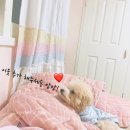 알엔비스커피