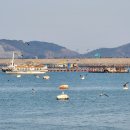 삼길포항 | 서산가볼만한곳, 서산9경 삼길포항 다녀온 후기(faet. 갈매기, 조각공원)