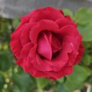 명리 마을회관 이미지