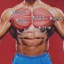 극동헬스 이미지