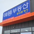 애플부동산공인중개사사무소 이미지