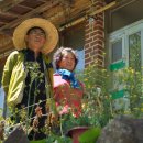 마가목민박 이미지