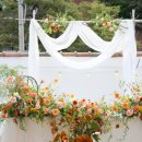 마루flower