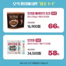 단백질 쉐이크 입문자 제품 솔직 후기｜율리 코코밥 요거트, 잇더핏 더블 초코 / 코코밥 할인 팝업스토어