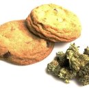 (주)나노그램 이미지