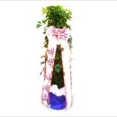 함열신호e플러스@경로당 | ◈익산꽃집 염가 꽃배달◈익산시迅화원!화분화환조화 영등동,모현동,신동,원광대(원대),익산역,함열 서비스