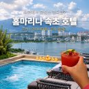 마야비뷰티그룹 | 속초호텔 추천｜홈마리나호텔 속초 숙박 후기 (주차·조식·인피니티풀 총정리)