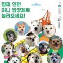 핌피바이러스 | 핌피바이러스 미니 입양제 참관 후기 – 보고싶은 아가들 예삐, 니콜, 양생이, 캠벨 & more)