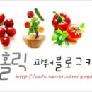 홀릭1