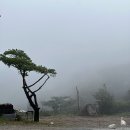 가을이 오면 눈부신 수채화 | 가을이 오면(눈부신 아침 햇살에)