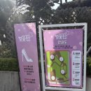 [인천 서구] SK인천석유화학 벚꽃동산🌸후기
