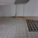 향천빌딩 이미지