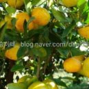 지승농장 이미지