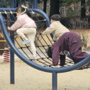 "오늘도 호수공원은 아이들의 세상이었다"--시선 이미지